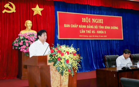 Quyết liệt thực hiện các nhiệm vụ để hoàn thành thắng lợi Nghị quyết của Tỉnh ủy năm 2020