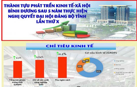 Thành tựu phát triển kinh tế - xã hội Bình Dương sau 5 năm thực hiện Nghị quyết Đại hội Đảng bộ tỉnh lần thứ X