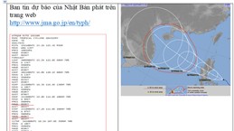 Bác bỏ thông tin bão số 8 có khả năng mạnh lên tới cấp “siêu bão”