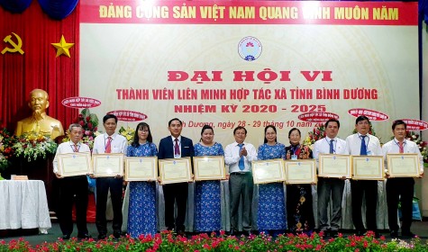 Liên minh Hợp tác xã tỉnh Bình Dương: Phấn đấu đến cuối năm 2025 có từ 230 - 250 hợp tác xã