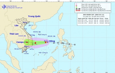 Áp thấp nhiệt đới đã mạnh lên thành cơn bão số 12, gió giật cấp 10