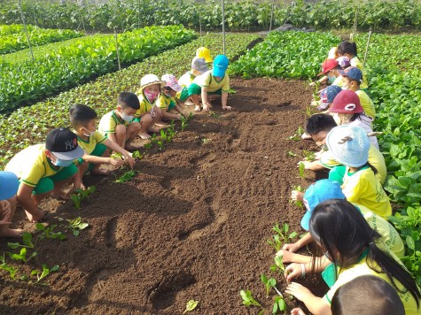 Trung tâm Hỗ trợ thanh niên công nhân và lao động trẻ: Tổ chức chương trình trải nghiệm cho con em công nhân