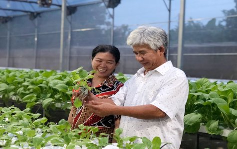 Về Lái Thiêu thăm “Ngọc Ánh Farm”