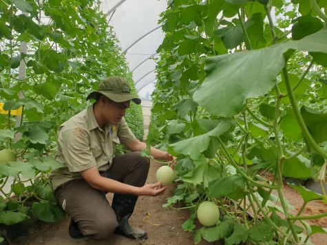 Chương trình OCOP: Thúc đẩy kinh tế nông thôn phát triển