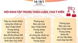 Những nội dung quan trọng của Hội nghị lần thứ 15 Ban Chấp hành Trung ương Đảng