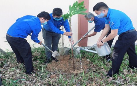 Tỉnh đoàn Bình Dương: Phát động Tết trồng cây “Đời đời nhớ ơn Bác”