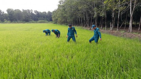 Đảng Bộ quân sự TX.Bến Cát: Nhiều mô hình hay “Làm theo Bác”