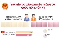 Dự kiến cơ cấu đại biểu trúng cử Quốc hội khóa XV