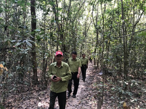 Tăng cường phòng cháy, chữa cháy rừng mùa khô