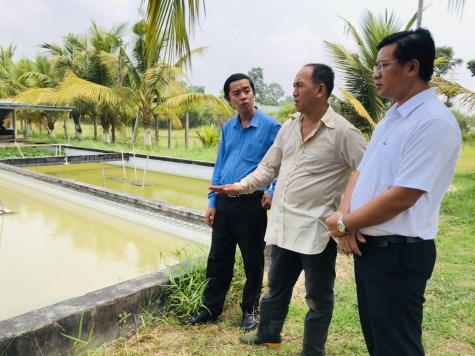 Làm giàu từ mô hình chăn nuôi khép kín