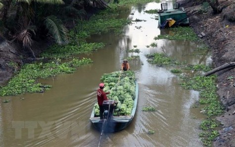 Khai thác nước ngầm quá mức ở ĐBSCL: Suy giảm nguồn nước nghiêm trọng