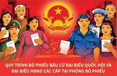 Quy trình bỏ phiếu bầu cử đại biểu Quốc hội và đại biểu HĐND các cấp