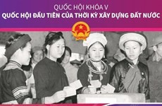 Quốc hội khóa V: Quốc hội đầu tiên của thời kỳ xây dựng đất nước