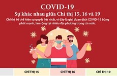 Chỉ thị 15, Chỉ thị 16 và Chỉ thị 19 có gì khác nhau?