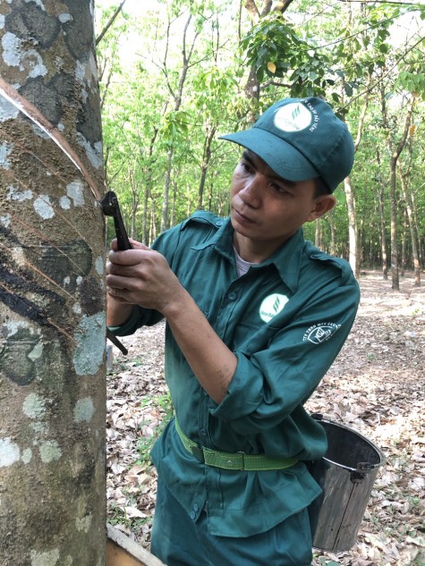 Anh Lê Đình Cường, công nhân khai thác mủ, nông trường cao su An Lập (Công ty TNHH MTV Cao su Dầu Tiếng): Phát huy truyền thống “Phú Riềng đỏ”