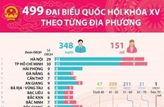 499 đại biểu Quốc hội khóa XV theo từng địa phương