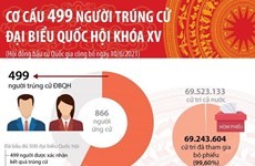 Cơ cấu 499 người trúng cử đại biểu Quốc hội khóa XV