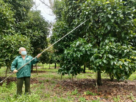 Khuyến khích đưa hàng nông sản lên sàn thương mại điện tử