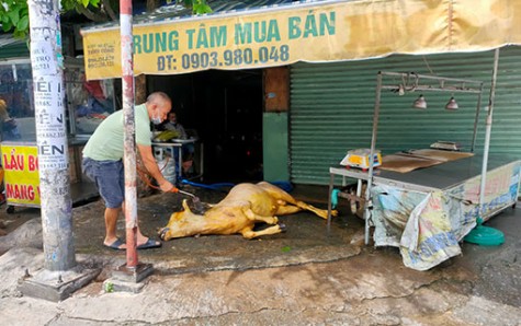 Cơ sở giết mổ gia súc tự phát trên vỉa hè: Chính quyền địa phương đã vào cuộc xử lý