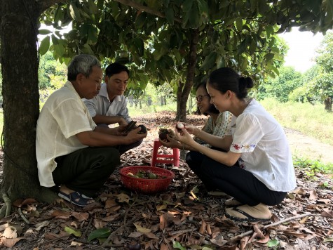 Nông nghiệp Dầu Tiếng tìm hướng đi bền vững