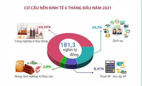 Kinh tế - xã hội tỉnh Bình Dương 6 tháng đầu năm 2021