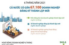 Sáu tháng đầu năm, gần 67.100 doanh nghiệp đăng ký thành lập mới