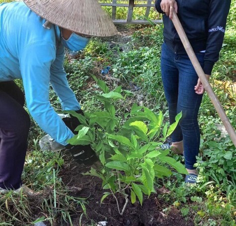 Nhiều công trình chào mừng Đại hội Hội Liên hiệp Phụ nữ các cấp nhiệm kỳ 2021-2026