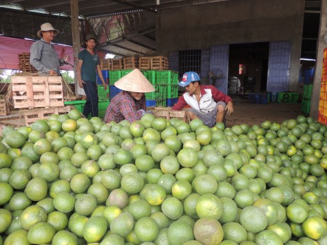 Hội Nông dân huyện Bắc Tân Uyên: Đưa chủ trương, chính sách xây dựng nông thôn mới vào cuộc sống