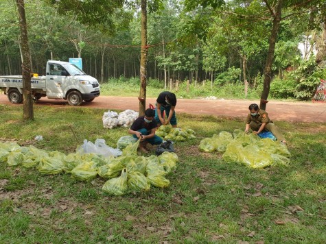 Chung tay đẩy lùi dịch bệnh