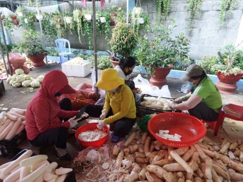 Những hũ cải muối dưa ấm lòng mùa dịch