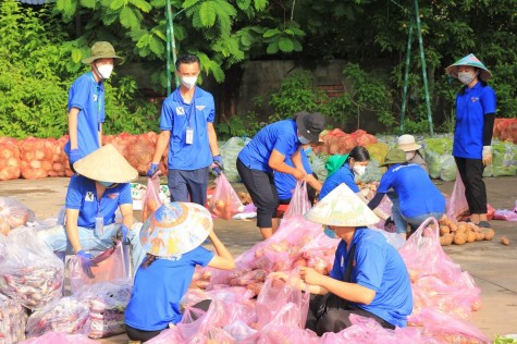 Tỉnh đoàn trao hơn 22 tấn rau, củ, quả cho người dân vùng “khóa chặt, đông cứng”