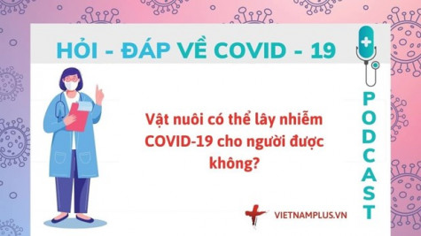 Hỏi đáp COVID-19: Vật nuôi có làm lây lan virus SARS-CoV-2 hay không?