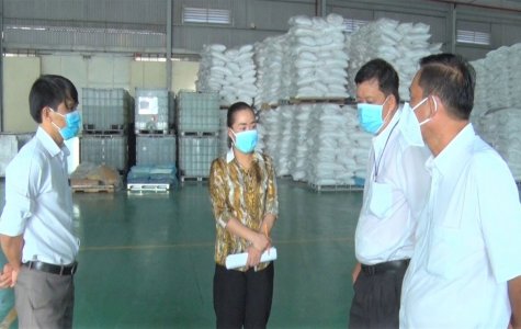 TX.Bến Cát: Tiếp tục thẩm định phương án đăng ký sản xuất theo mô hình “3 xanh”