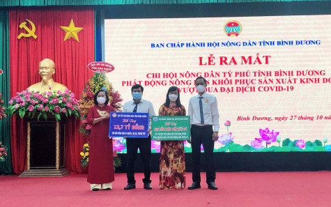 Hội Nông dân tỉnh: Phát động thi đua sản xuất, phục hồi kinh tế