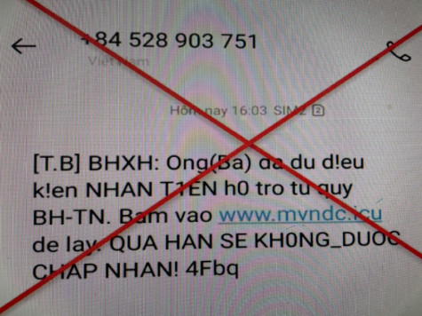 Mạo danh cơ quan bảo hiểm xã hội nhằm lừa đảo