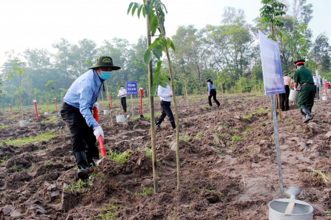 Chủ động nhiều phương án ứng phó với biến đổi khí hậu