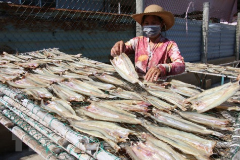 Làng nghề chế biến cá khô tại Bến Tre nhộn nhịp vào vụ Tết