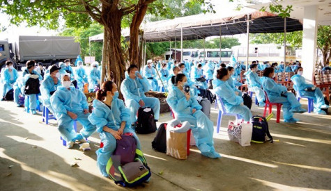 Khởi tố lãnh đạo Cục Lãnh sự vì trục lợi "chuyến bay giải cứu"