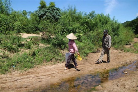 Tây Nguyên và Nam Bộ nắng nhiều, cảnh báo nguy cơ cháy rừng cao