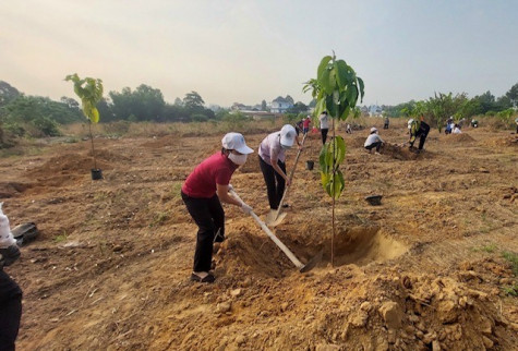 Hội Liên hiệp Phụ nữ TP.Thủ Dầu Một phát động phong trào trồng cây xanh