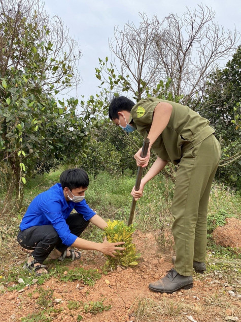 Tuổi trẻ Bình Dương đồng loạt ra quân “Ngày Chủ nhật xanh” và “Ngày đoàn viên”