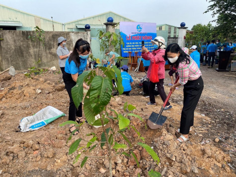 Thực hiện chương trình “Phụ nữ vun trồng tương lai - vì lợi ích mười năm trồng cây, vì lợi ích trăm năm trồng người”.