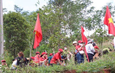 Khám phá vườn sâm Ngọc Linh