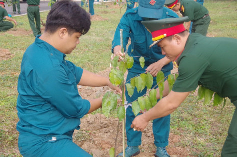 Bộ Chỉ huy Quân sự tỉnh: Phát động “Tết trồng cây đời đời nhớ ơn Bác Hồ”