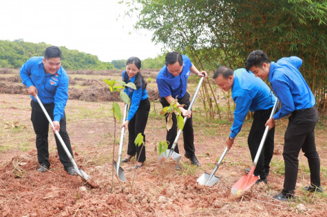 Phát động trồng cây xanh kỷ niệm ngày sinh nhật Bác