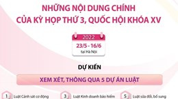 Những nội dung chính của kỳ họp thứ 3, Quốc hội khóa XV