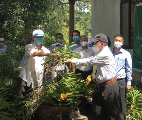 Sinh vật cảnh ngày càng nâng cao giá trị