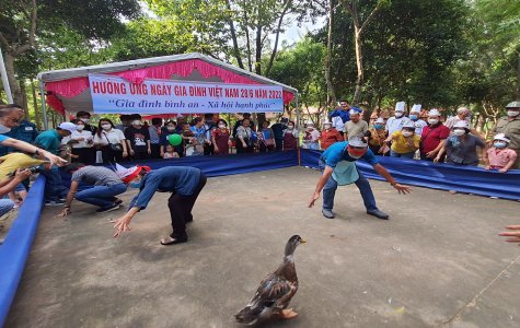 Sôi nổi Ngày hội gia đình Việt Nam năm 2022