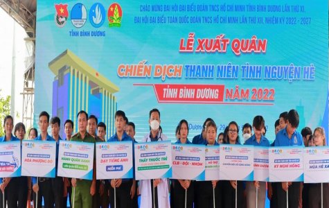 Mùa hè xanh vẫy gọi