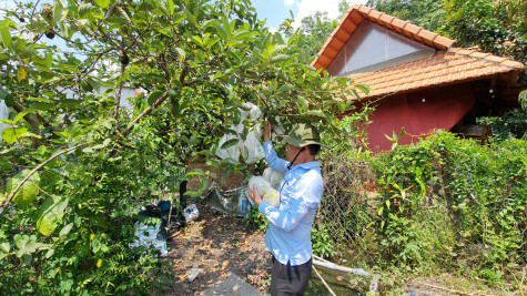 Xã Phú An, TX.Bến Cát: Vững bước trên con đường đổi mới